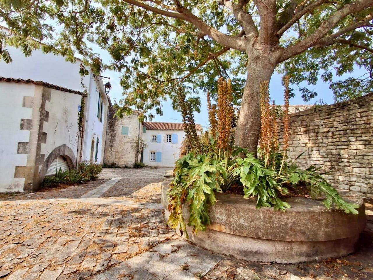 Le Nid Flottais Appartement La Flotte Buitenkant foto